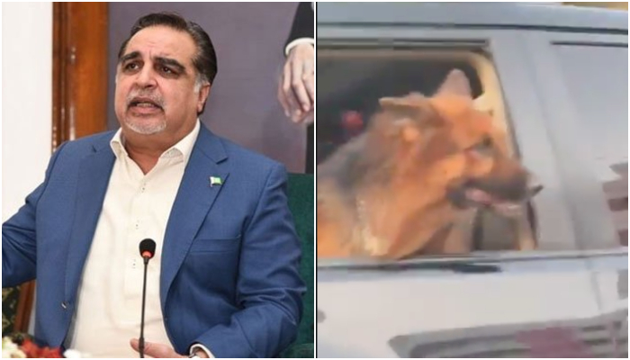 Governor Sindh issues clarification after video of 'dog riding in protocol' goes viral