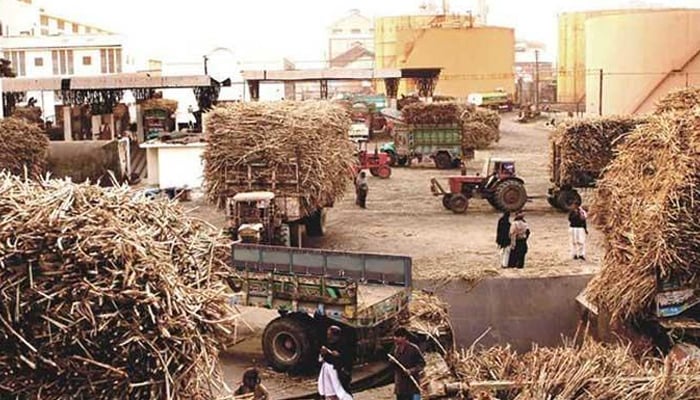Govt eyes comprehensive strategy to monitor sugar mills