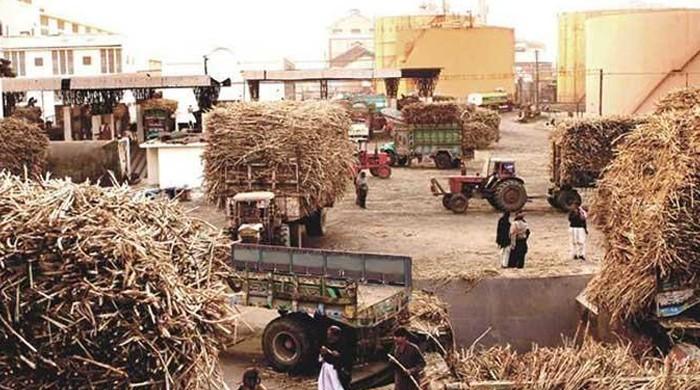 Govt eyes comprehensive strategy to monitor sugar mills