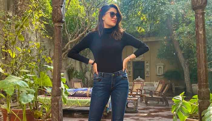 Mehwish Hayat shares her new photo with cryptic message: 'All women are actresses...'