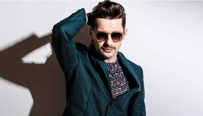 Akcent jumps on the '#PawriHoriHai' bandwagon: Watch