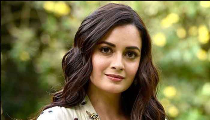 Patriotism that propagates hate isn't patriotism, says Dia Mirza