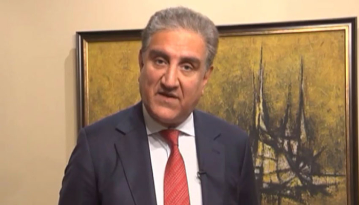 FM Qureshi leaves for Egypt on two-day visit