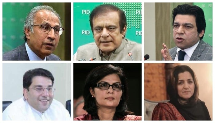 Senate election 2021: Meet the PTI candidates - Vimarsana News