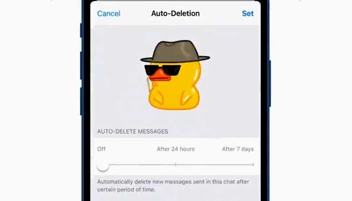 Telegram update brings users auto-delete, widgets and unlimited group member options - Vimarsana News