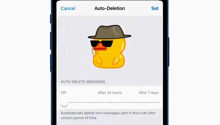 Telegram update brings users auto-delete, widgets and unlimited group member options