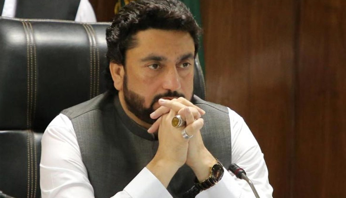 Senate election: How did Shehryar Afridi waste his vote?