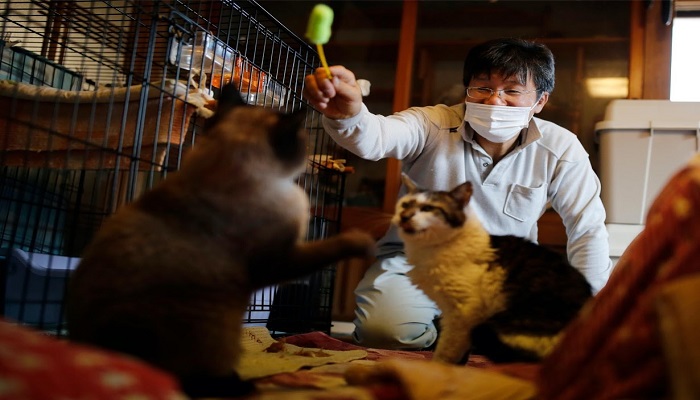 Meet the man from Japan who saves forgotten cats in Fukushima's nuclear zone