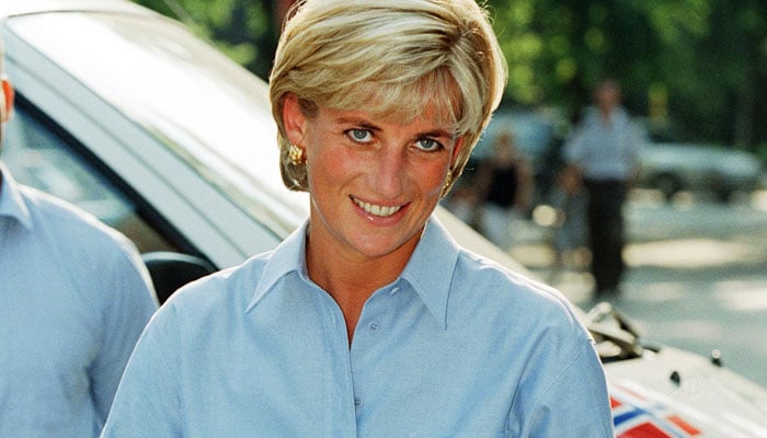 UK police unveil update on Princess Diana’s 1995 BBC interview investigation