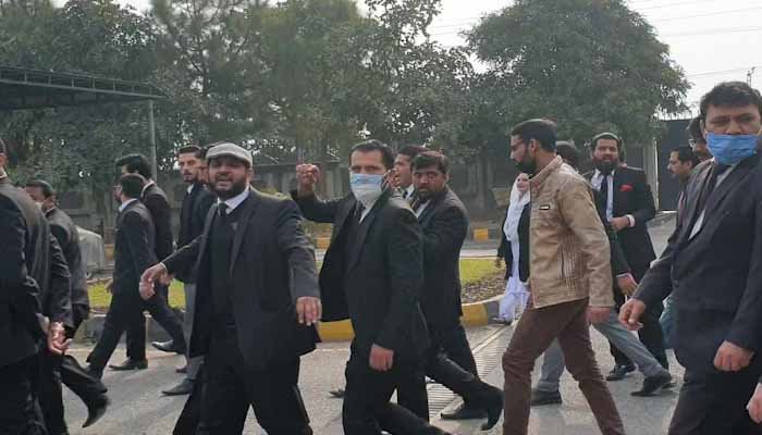 Attack on IHC: Six more lawyers granted bail, plea for one rejected