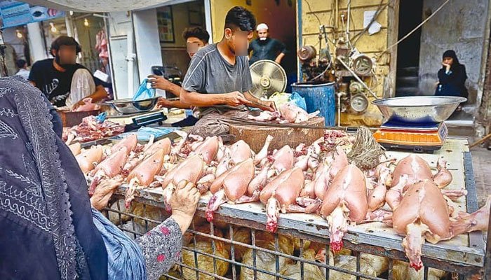 Rising poultry prices worrying citizens, causing losses to vendors