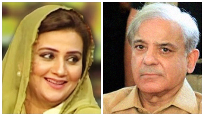 PML-N leader Uzma Bukhari booted from court for speaking to Shahbaz Sharif