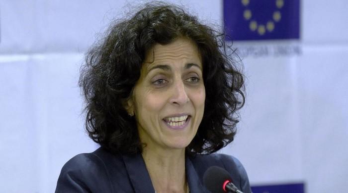 BJP has sown the seeds of hatred in multicultural India: EU human rights chief 