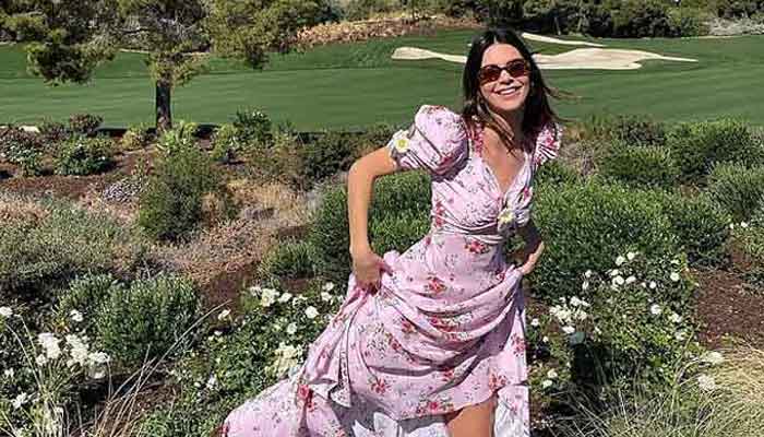 Kendall Jenner looks like a butterfly as she shares new stunning pics