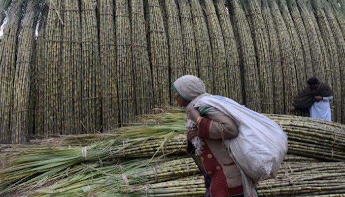 Punjab govt raids sugar mills after manufacturers refuse to take down price - Vimarsana News