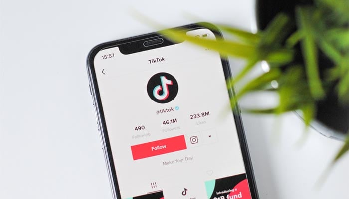 TikTok slapped with fine of more than $30,000 over posts urging minors to join protests