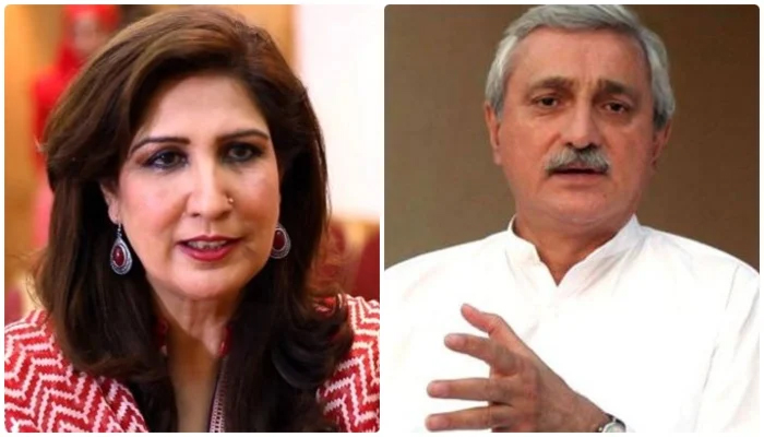 Shehla Raza deletes tweet on Jahangir Tareen, Zardari's 'meeting next week'