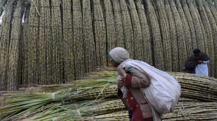 Punjab govt raids sugar mills after manufacturers refuse to take down price