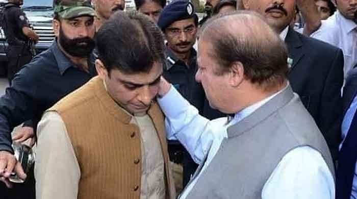 NA 75 Daska by-poll: Nawaz Sharif asks Hamza Shehbaz to monitor PML-N campaign