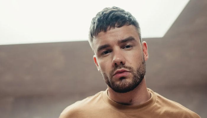 Liam Payne spills the beans on fatherhood expectations