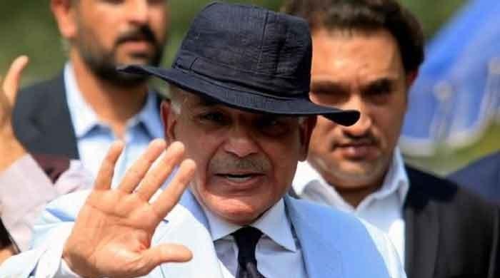 LHC grants Shehbaz Sharif bail in assets beyond means case 