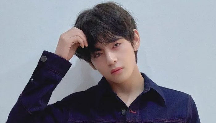 BTS’s V touches on the origins of ‘I Purple You’
