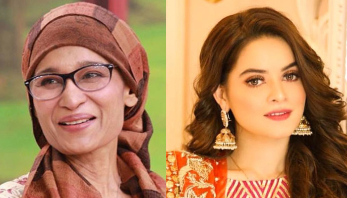 Minal Khan supports Naila Jaffery’s plea to pay artists royalties