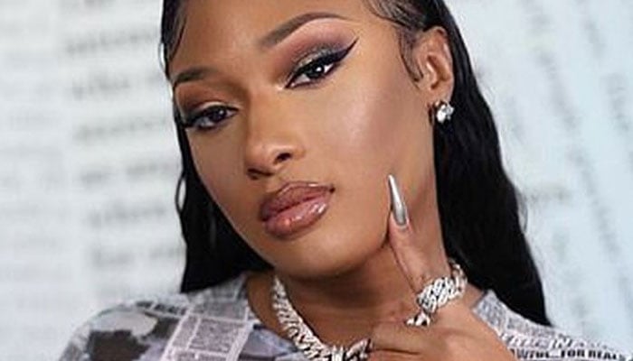 Megan Thee Stallion shocks fans by announcing to take hiatus from music 