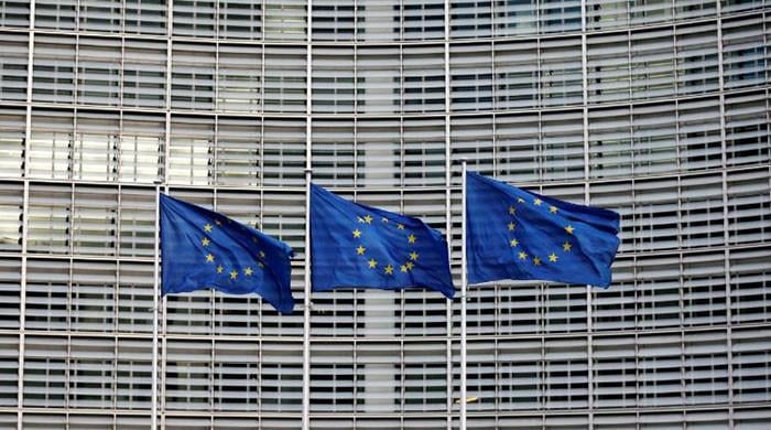EU parliament wants Pakistan's GSP plus status reviewed