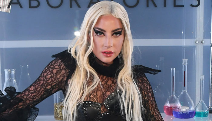 Lady Gaga's family 'relieved' over dognaper arrest - Vimarsana News