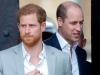 Prince Harry, William unable to mend rift over ‘hurt’ feelings: report
