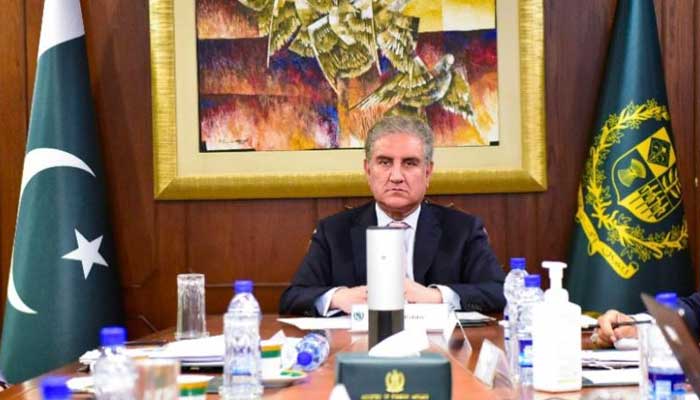 Israel’s crimes against humanity should not escape accountability: Qureshi to OIC