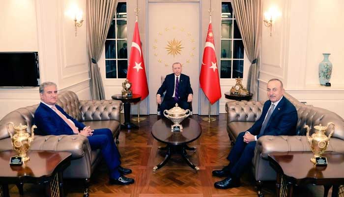 FM Qureshi discusses Palestine crisis with Turkish President Tayyip Erdogan