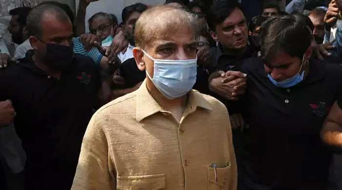 Lahore court seeks reply from govt on Shehbaz Sharif's contempt plea