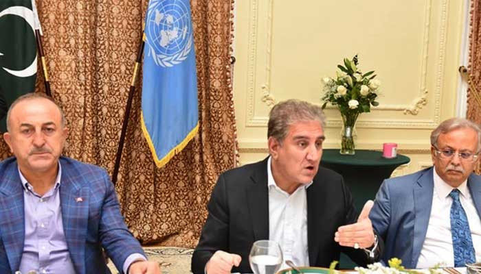 Mission Palestine: FM Qureshi urges Muslim countries to adopt united stance at UN - Vimarsana News