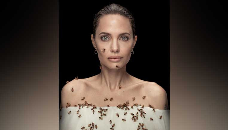 angolie jolie - Ilustrasi 3