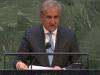 UNGA must demand cessation of Israeli hostilities, if Security Council fails to do so: Qureshi