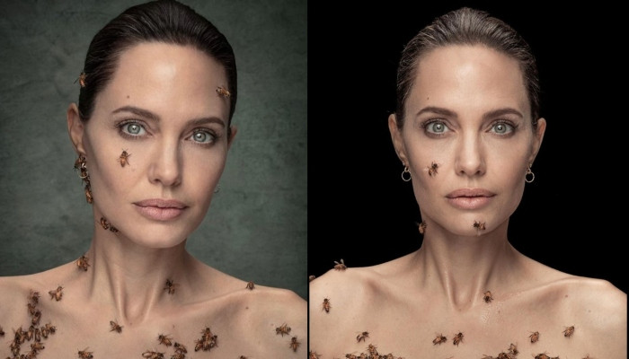 Angelina Jolie says she didn't shower for days prior to her World Bee Day shoot - Vimarsana News