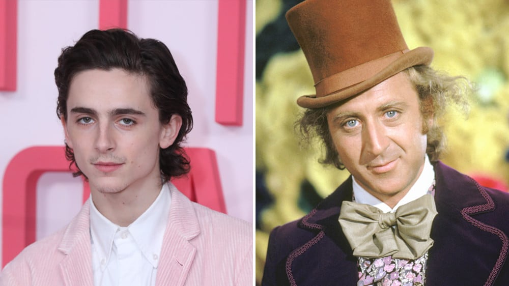 Timothée Chalamet set to play young Willy Wonka - Vimarsana News