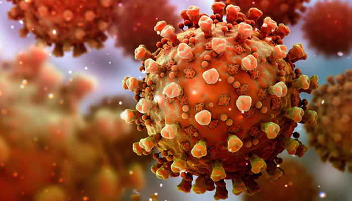Coronavirus: Latest global developments