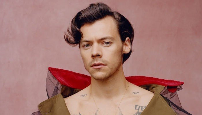 Harry Styles gearing up to launch a new beauty brand: report - Vimarsana News