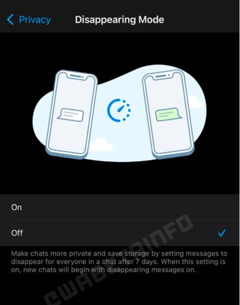 WhatsApp Disappearing Mode