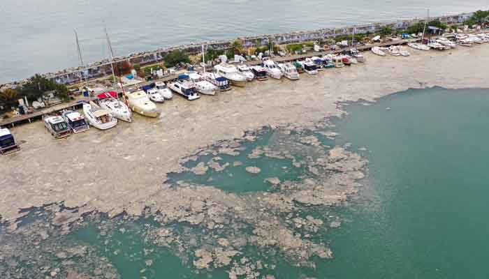 'Sea snot' outbreak off Turkish coast poses threat to marine life