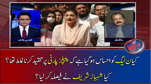 کیا ن لیگ کو احساس ہوگیا ہے کہ پیپلز پارٹی پر تنقید کرنا غلط تھا، کیا شہباز شریف نے فیصلہ کرلیا؟