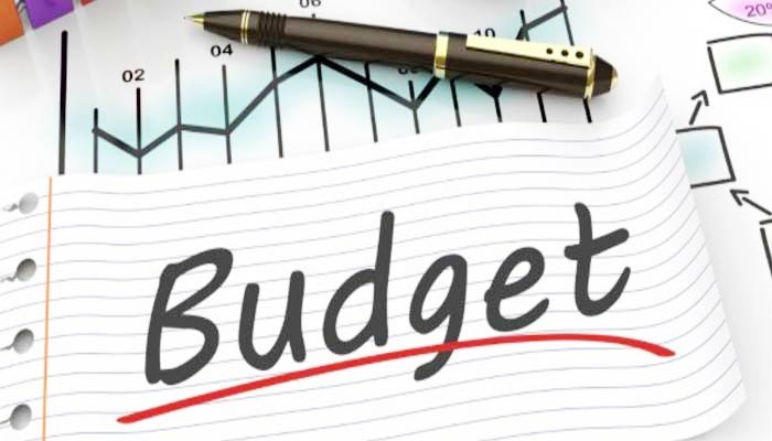 Economic experts divided over Budget 2021-22