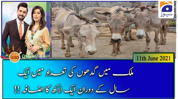 جیو پاکستان -11 جون 2021ء