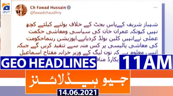 جیونیوزہیڈلائنز - 1100 - 14 جون 2021ء