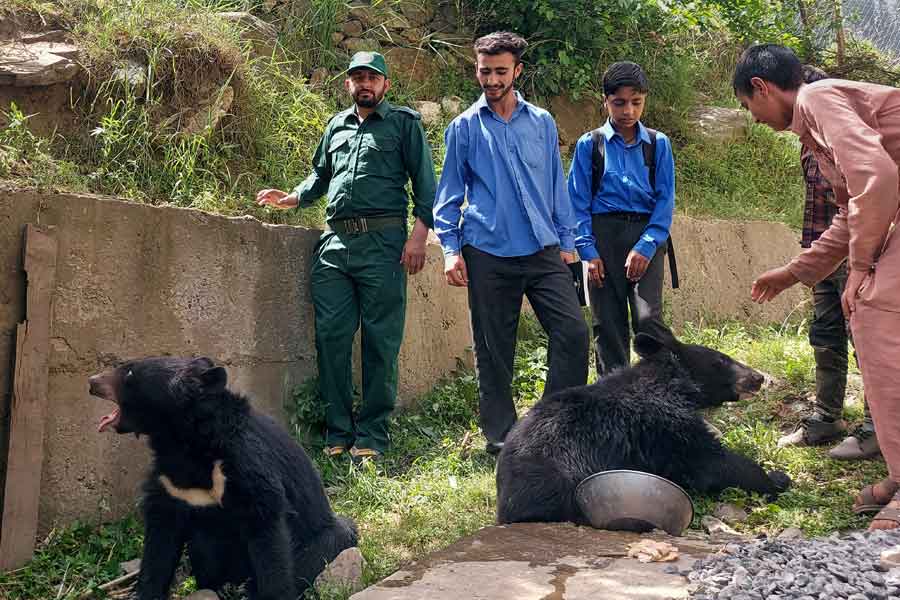 Students and residents play with a pair of Asian black bears, rescued a year ago near the Line of Control (LoC), at the Wildlife and Fisheries department in a Dawarian village in Neelum Valley, Azad Jammu and Kashmir, June 12, 2021. — Reuters/Abu Arqam Naqash