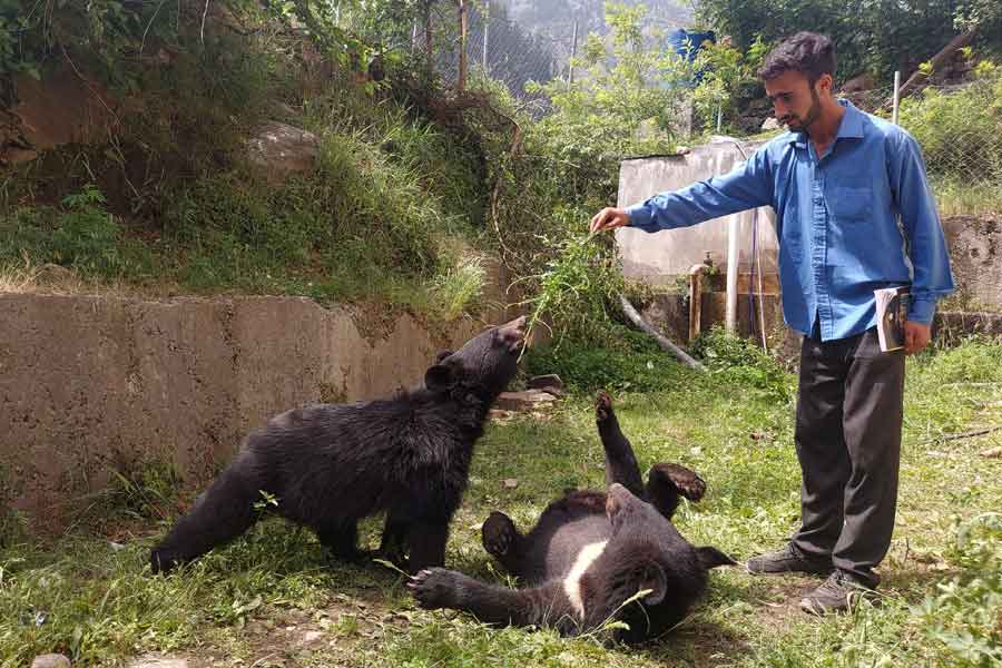 A student plays with a pair of Asian black bears, rescued a year ago near the Line of Control (LoC), at the Wildlife and Fisheries department in a Dawarian village in Neelum Valley, Azad Jammu and Kashmir, June 12, 2021. — Reuters/Abu Arqam Naqash