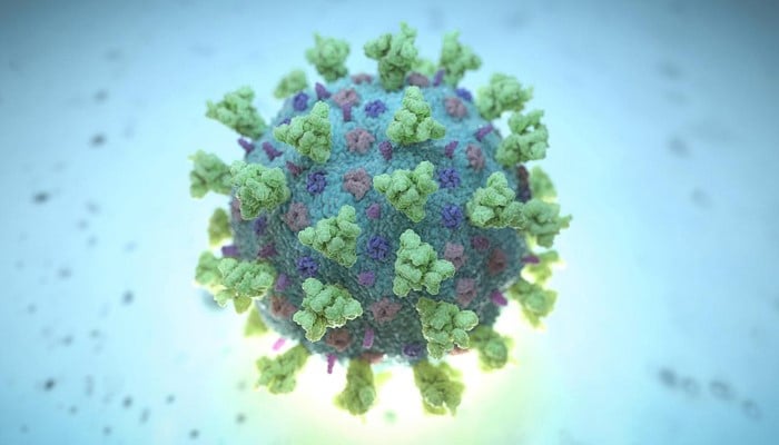 The coronavirus as seen through a microscope. — Reuters/File